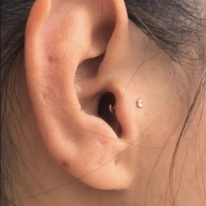 Piercings by Alex Loyalty Tattoo Kailua