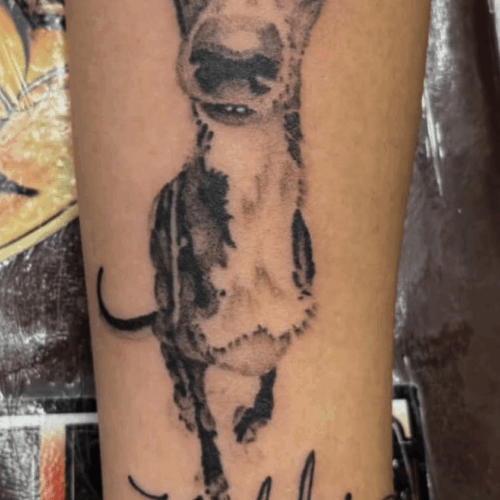 Realism dog tattoo